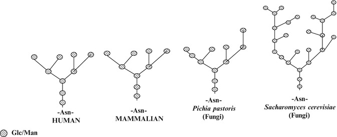 Fig. 4.3