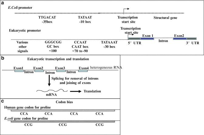 Fig. 4.2