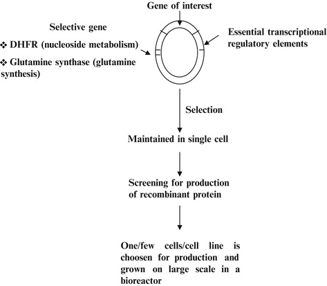 Fig. 4.1