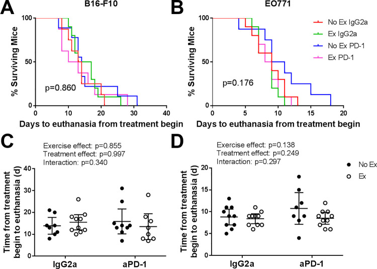 Effect of immune modulation on the skeletal muscle mitochondrial ...