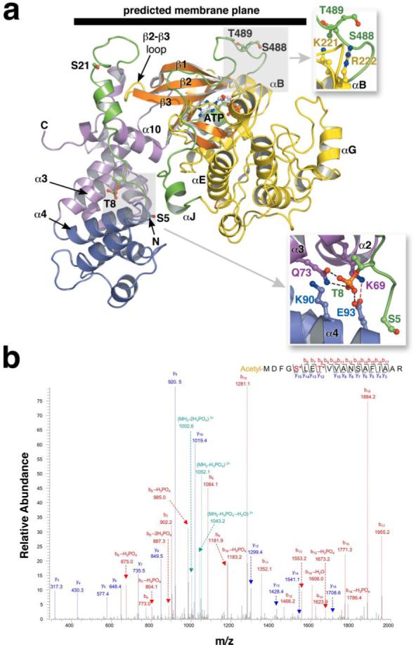 FIGURE 3