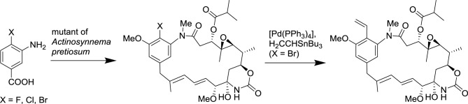 Scheme 4