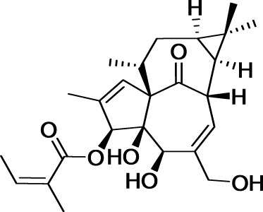 graphic file with name fchem-02-00020-i0011.jpg