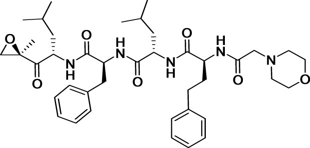 graphic file with name fchem-02-00020-i0010.jpg