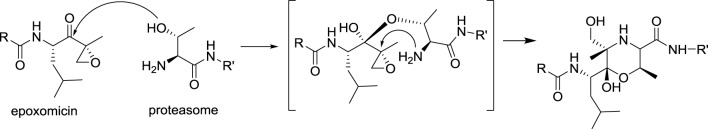 Scheme 3