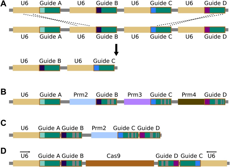 Figure 4—figure supplement 2.