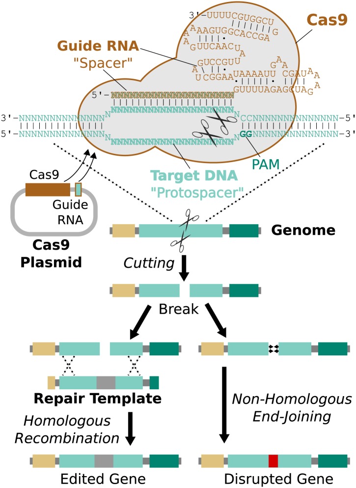 Figure 3.