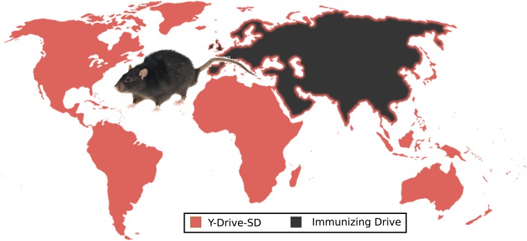 Figure 6—figure supplement 2.