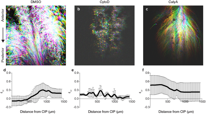 Extended Data Fig. 5.