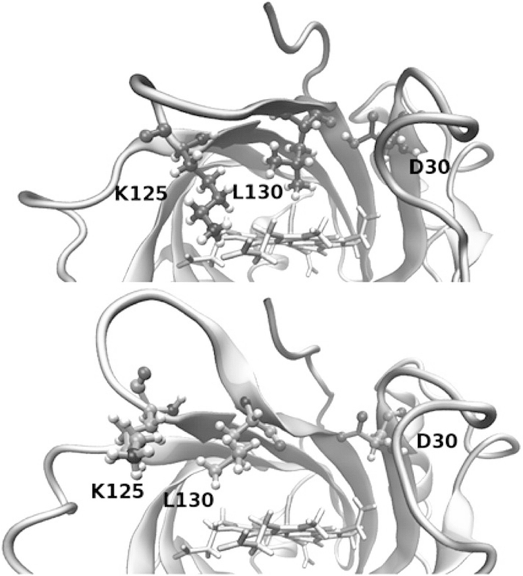 Fig. 15.6