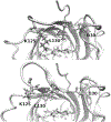Fig. 15.6