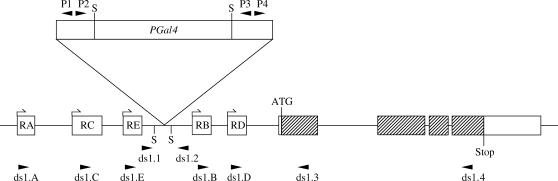 Figure 2.