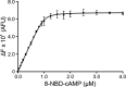Figure 11—figure supplement 1.