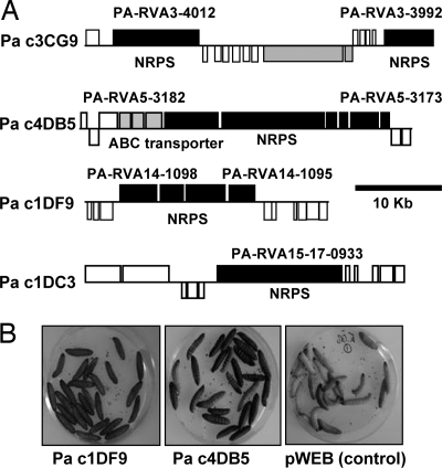 Fig. 3.