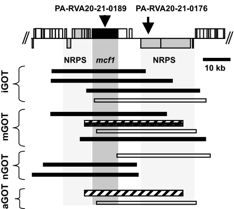 Fig. 2.