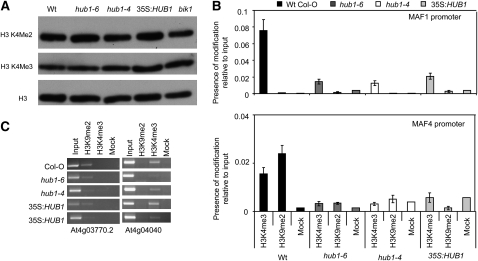 Figure 5.