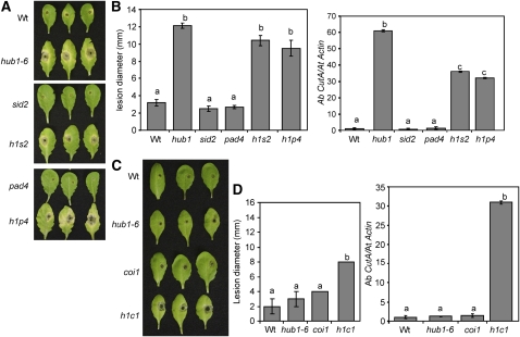 Figure 6.