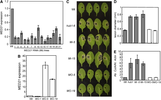 Figure 10.