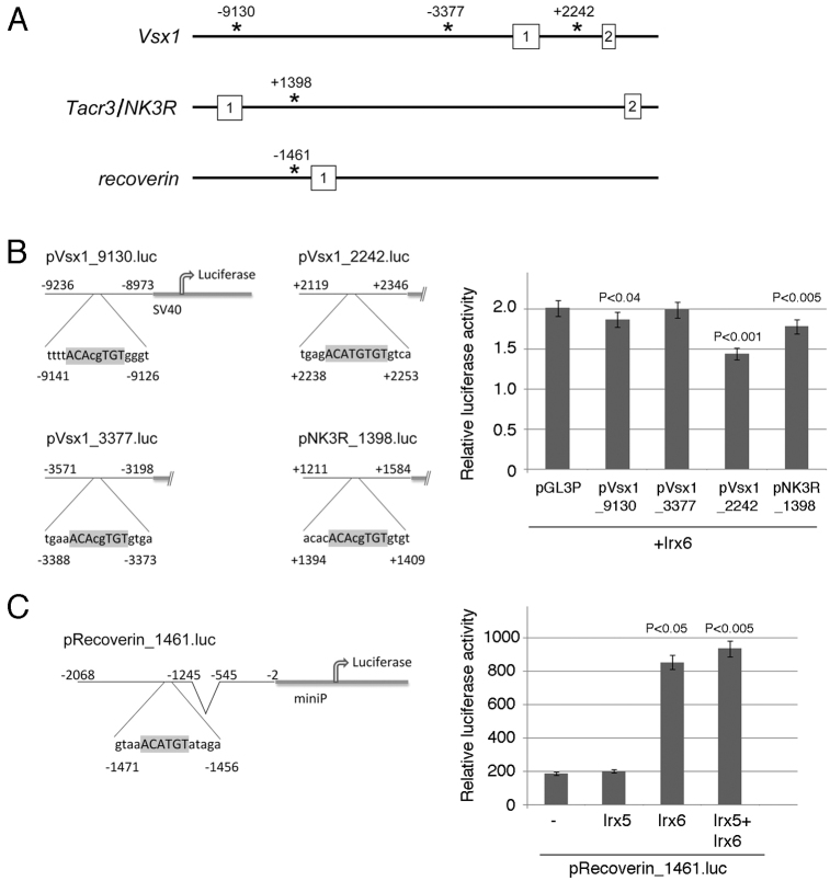 Fig. 10.