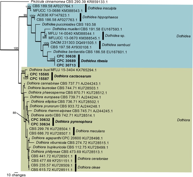 Fig. 3.