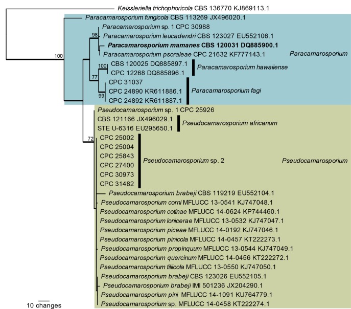 Fig. 4.