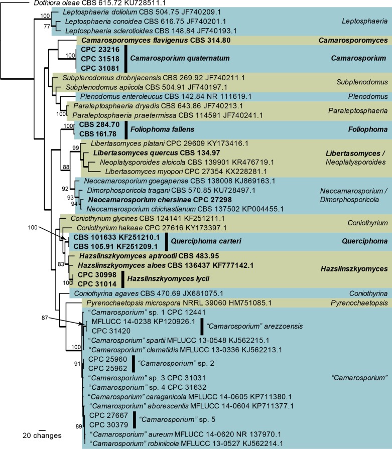 Fig. 2.