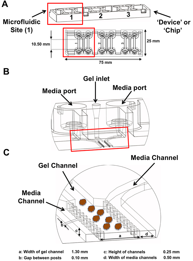 Figure 3 –