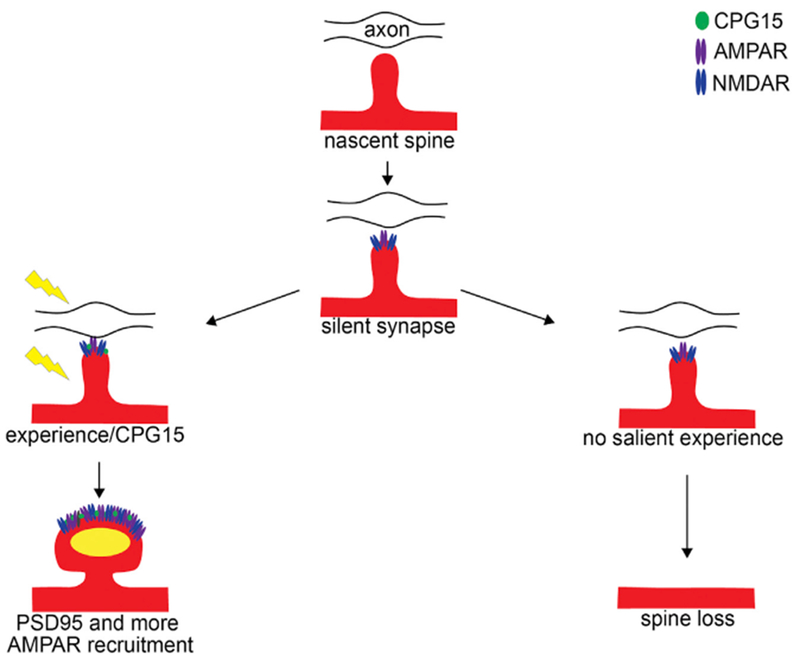 Figure 6.