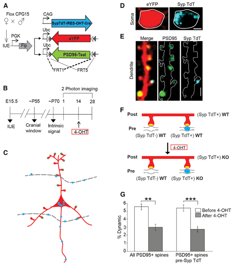 Figure 3.