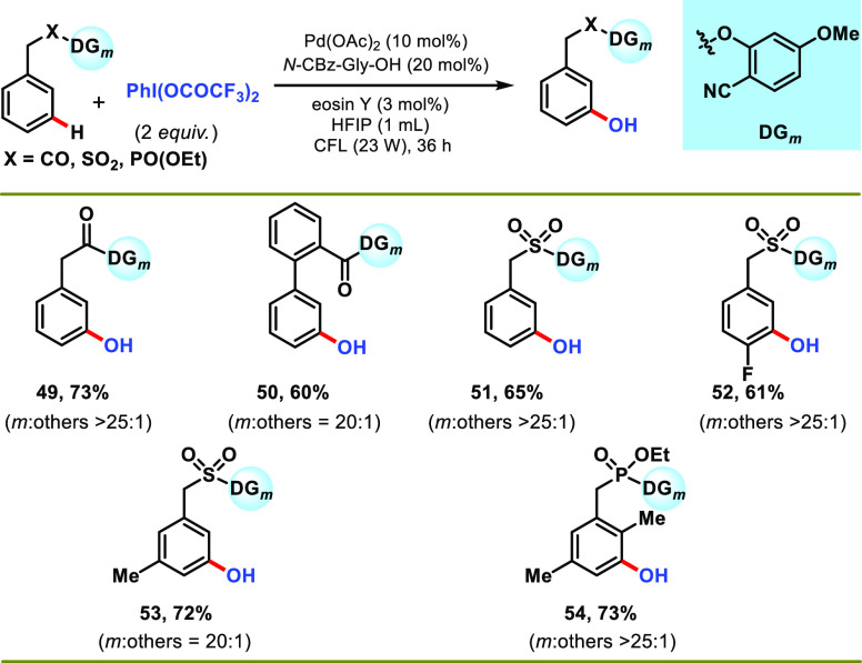 Scheme 5