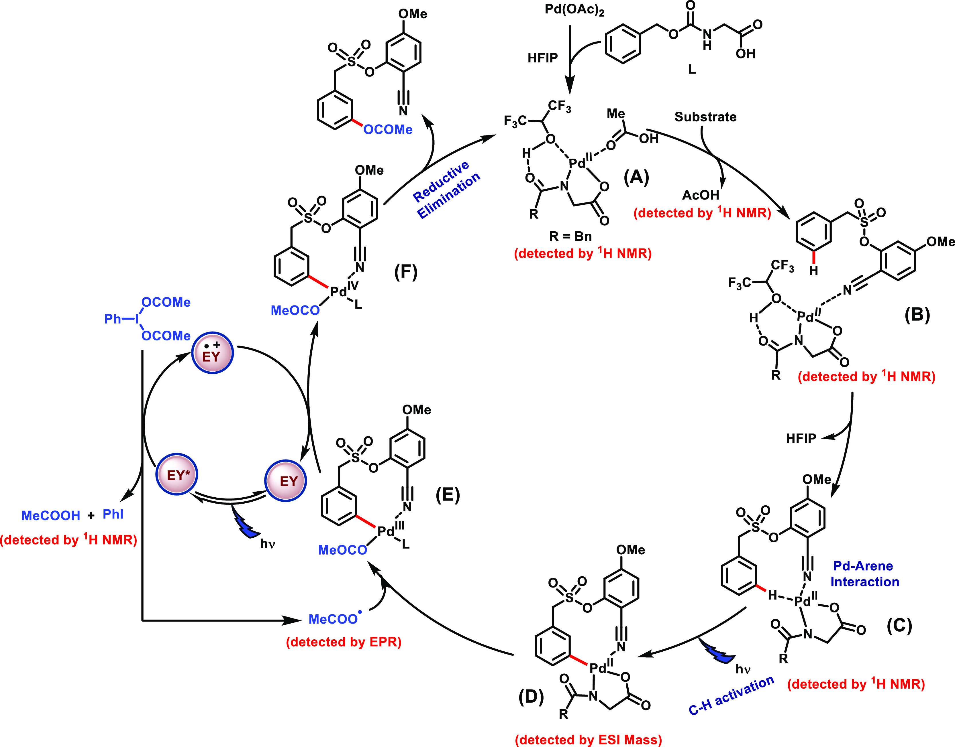 Scheme 7