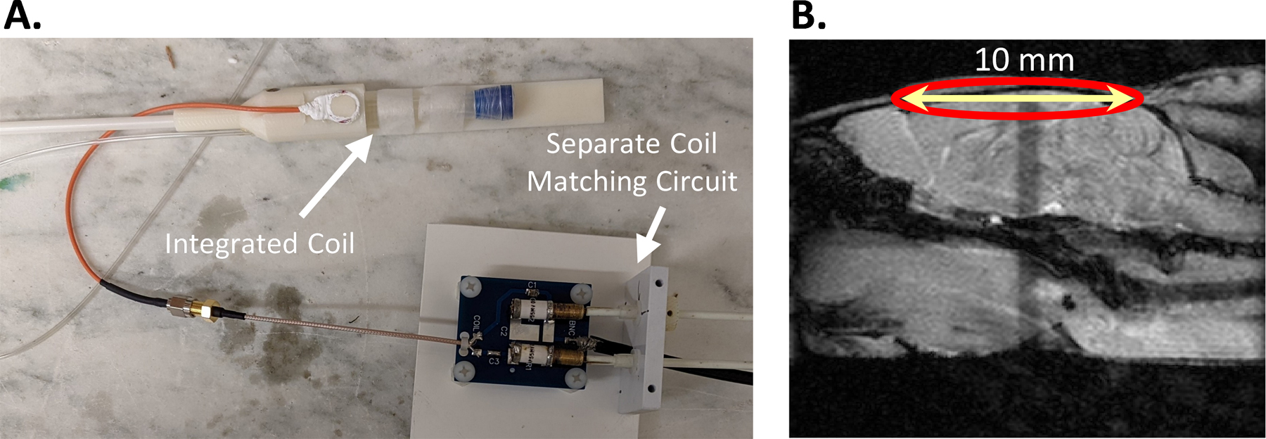 Figure 1. A.