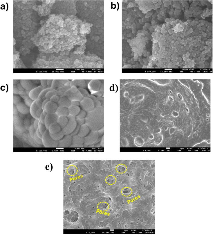 Fig. 5