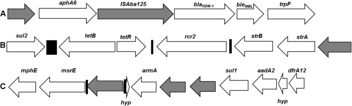 Fig 1