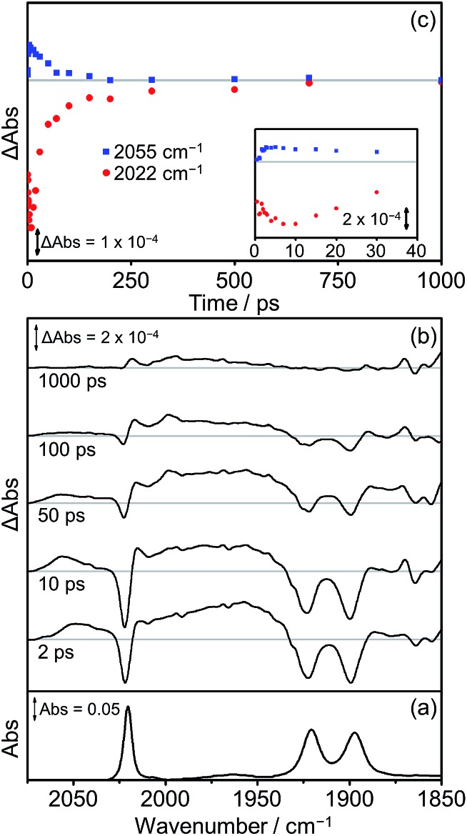 Fig. 10