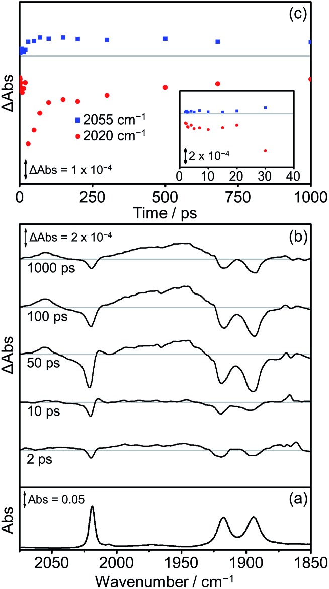 Fig. 12