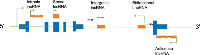 Fig 10