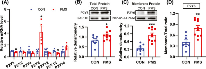 FIGURE 4