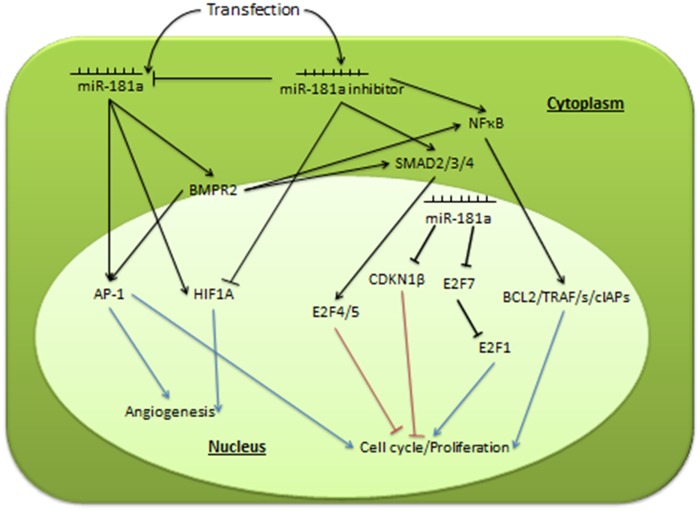 Fig 8