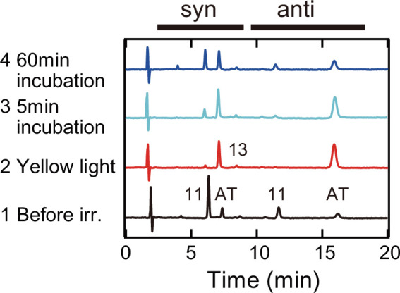 Figure 3—figure supplement 1.