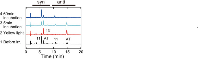 Figure 1—figure supplement 4.