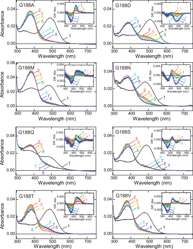 Figure 1—figure supplement 3.