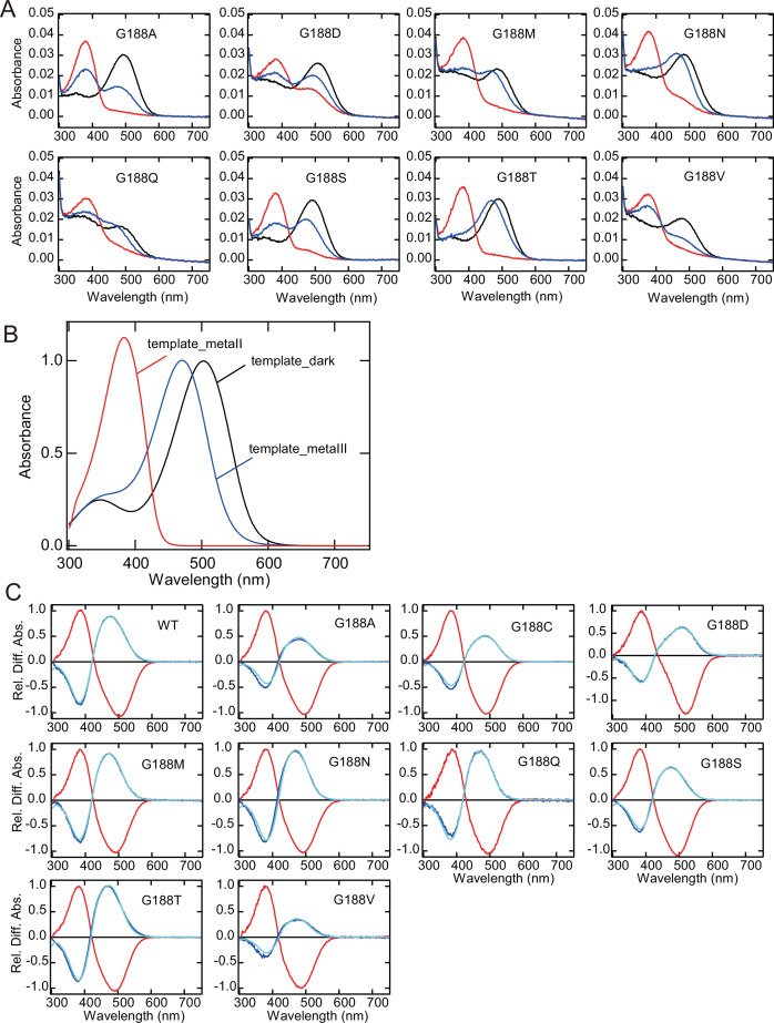 Figure 2—figure supplement 1.