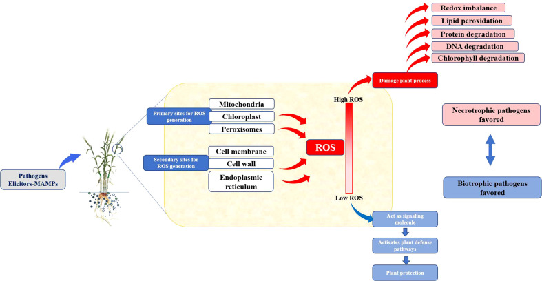 Figure 2