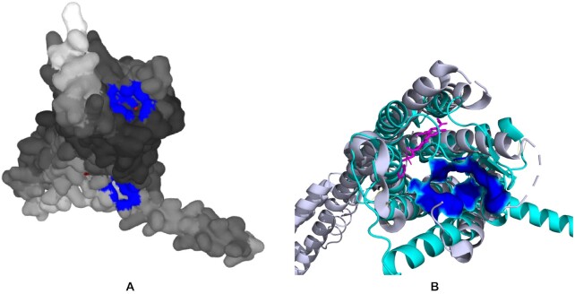 Figure 1.