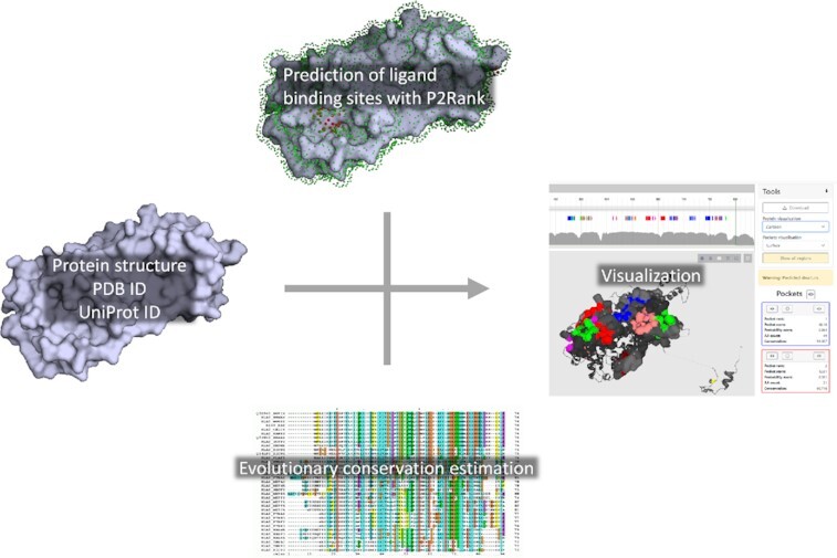 Graphical Abstract