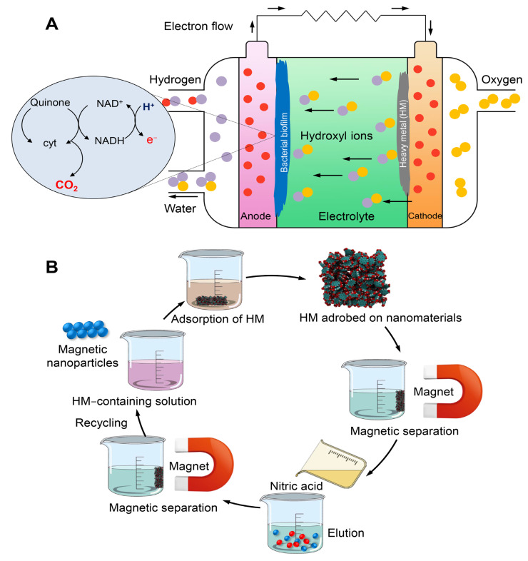 Figure 12