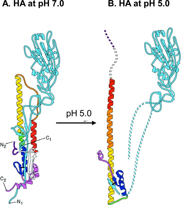 Fig. 7