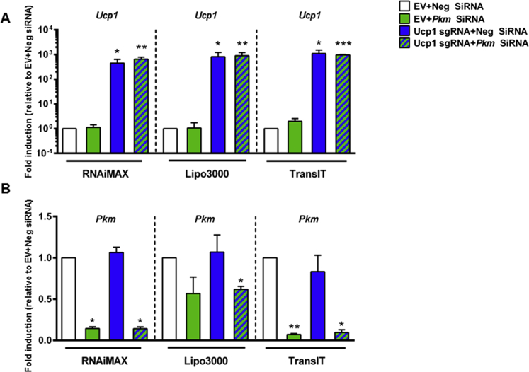 Figure 4