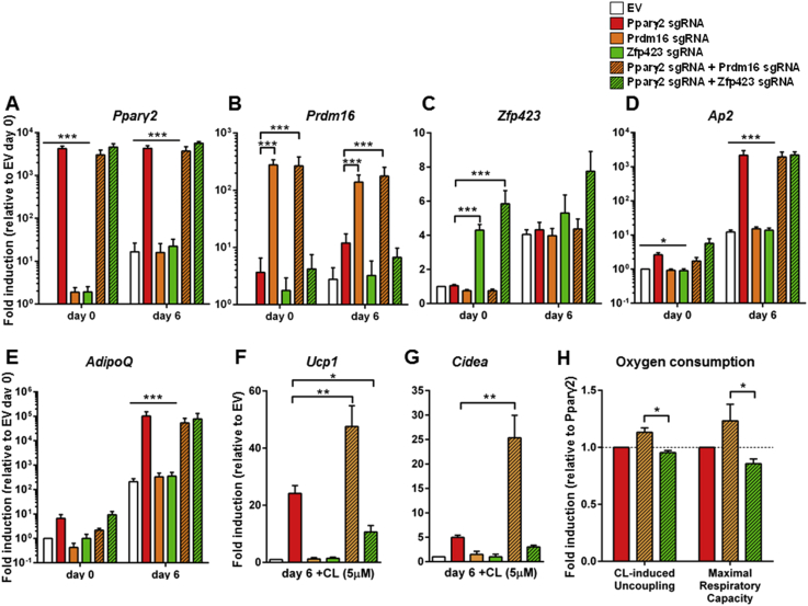 Figure 2